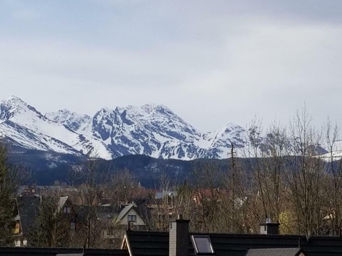 Villa Teddy Zakopane Murzasichle-Tatras Mountains Entire House To Yourself In A Quiet Neighborhood Exterior foto